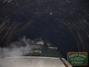 IMGP1923.JPG