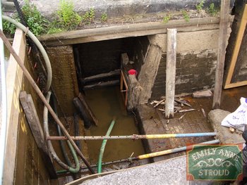 IMGP1929.JPG