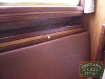 IMGP1939.JPG