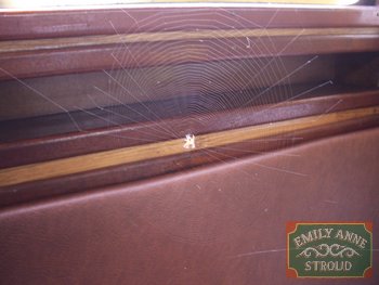 IMGP1941.JPG