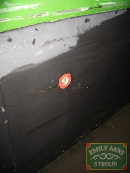 Emilyanne2005B (44).JPG