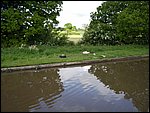 Emilyanne2005B (56).JPG