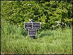 Emilyanne2005B (65).JPG