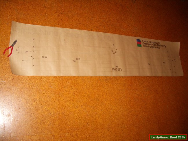 13-Cadcam drawn fullscale plan.JPG