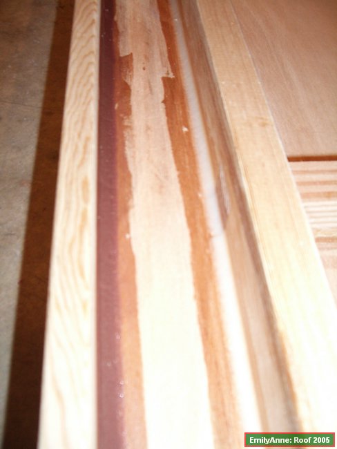 88-the two fillets side-by-side.JPG