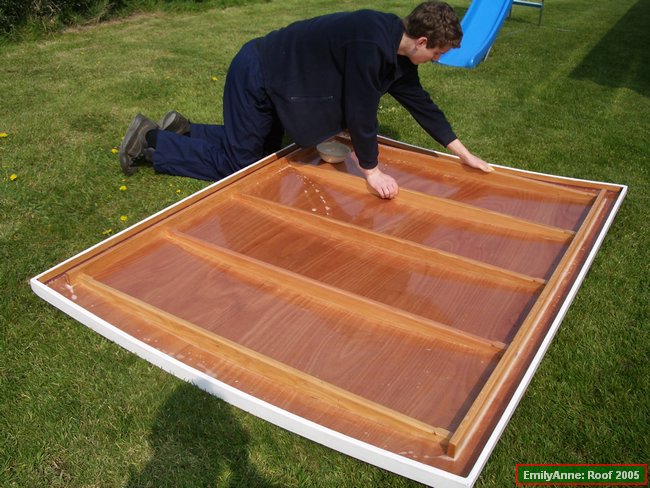 y44-the underside was washed just with soapywater as the exudate was fresher.JPG