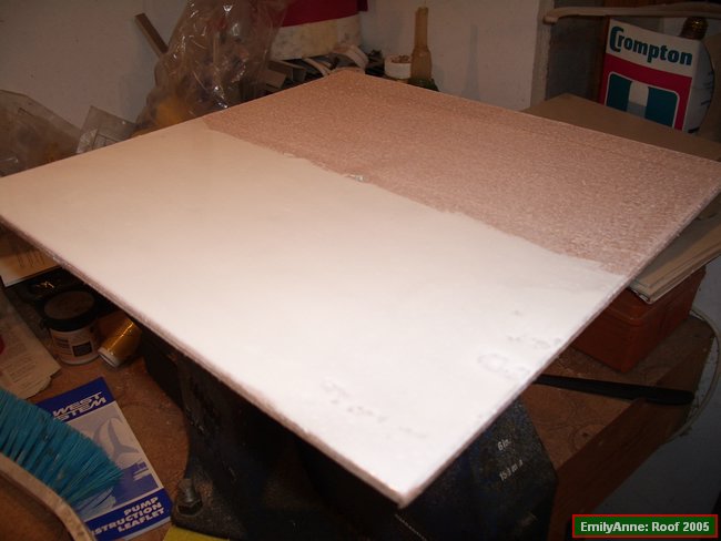 z18-this is the Epoxy only test with a 2nd coat over half of it.JPG