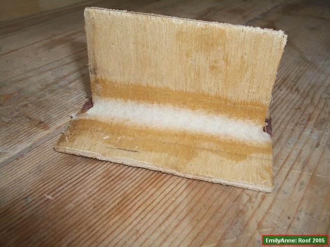 z20-highdesity fillet sample.JPG