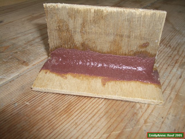 z21-lowdesity fillet sample.JPG