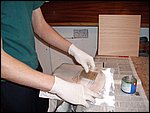 z04-TEST1, drymethod grp sheath,spreading on the epoxy.JPG